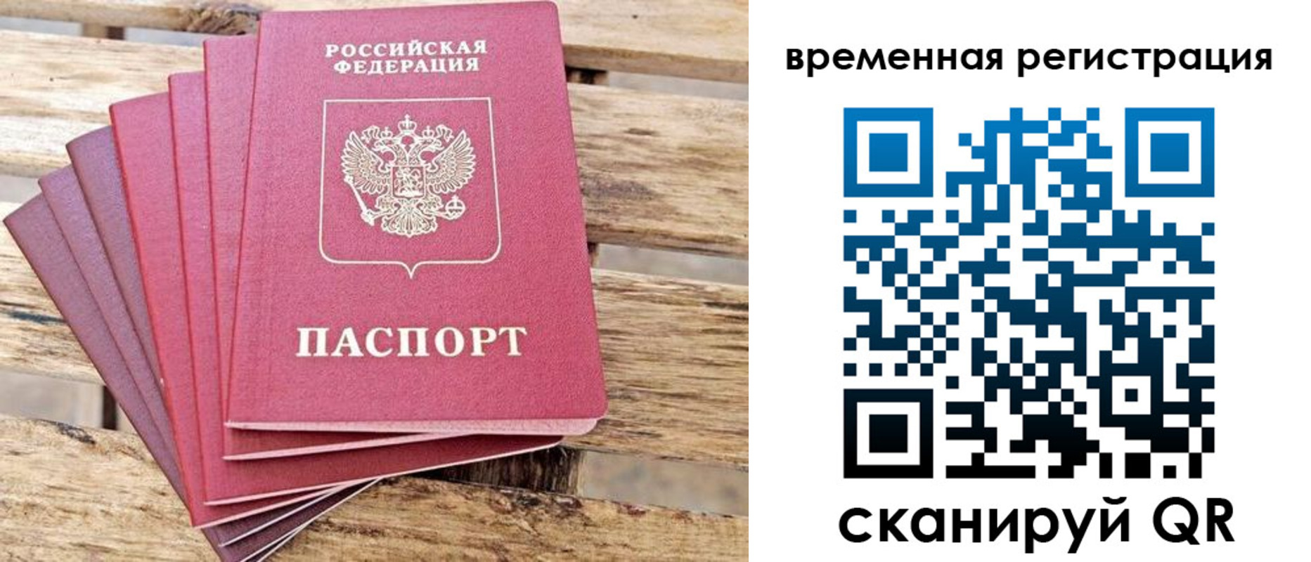 купить прописку в Сельцо